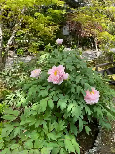 円通院(宮城県)