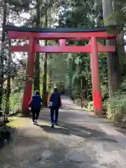 箱根神社の鳥居