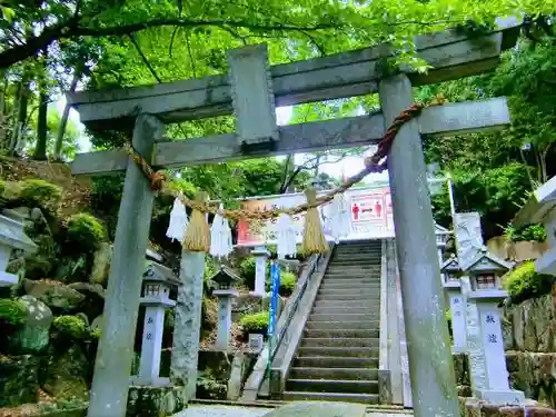 師岡熊野神社の鳥居