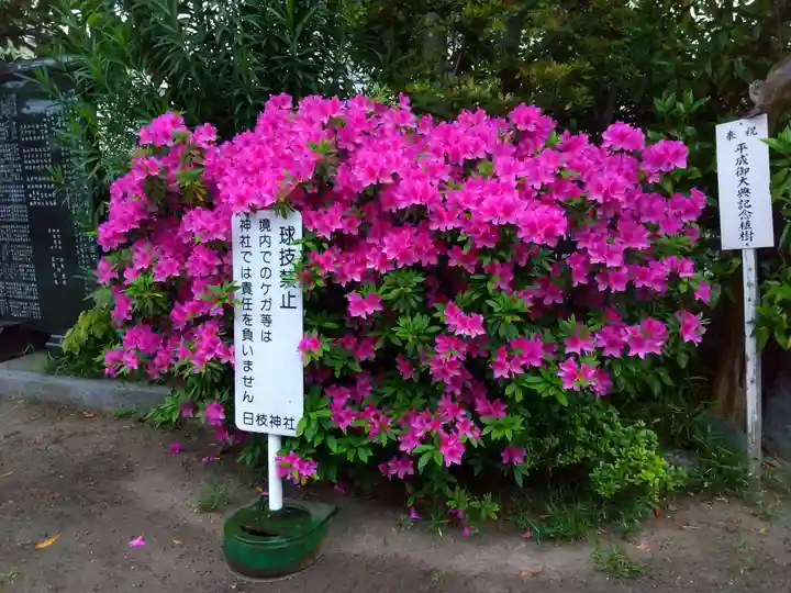 矢向日枝神社(神奈川県)
