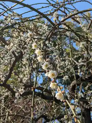 城南宮(京都府)