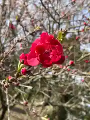 大生郷天満宮(茨城県)