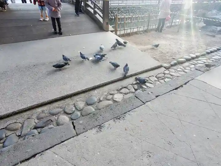 鑁阿寺(栃木県)
