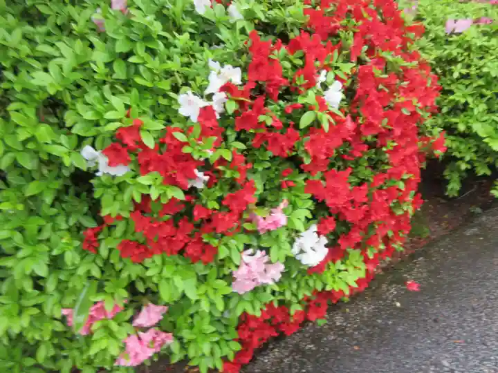 三室戸寺の自然