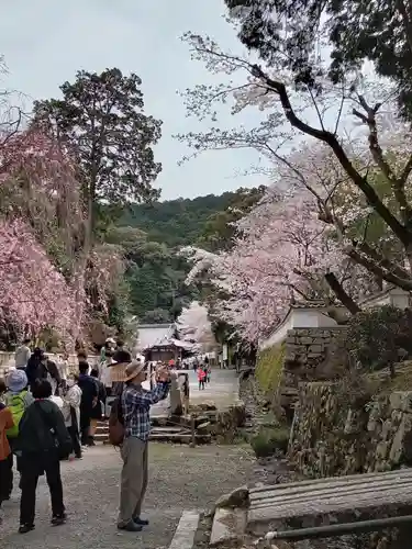 園城寺（三井寺）(滋賀県)