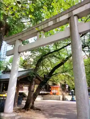熊野神社(東京都)