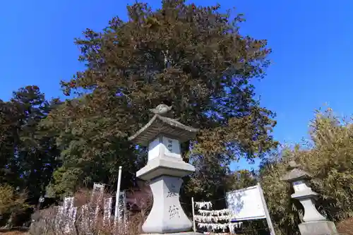 豊景神社の景色