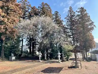 天満宮(栃木県)