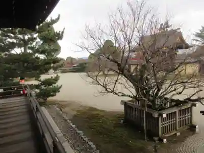 大覚寺(京都府)