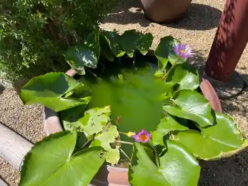 歓喜院(兵庫県)