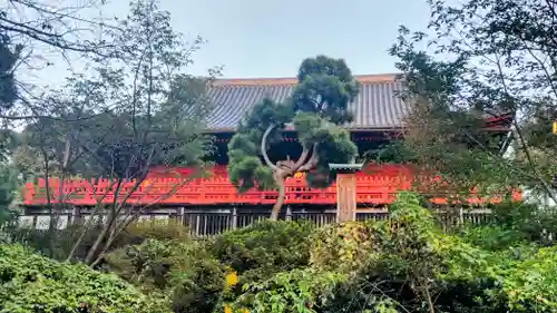 清水観音堂(東京都)