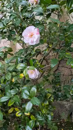 尊陽院(京都府)