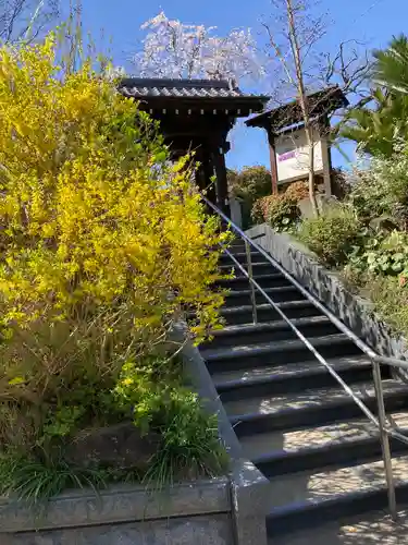 光照寺の自然