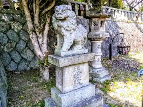 津島神社の狛犬