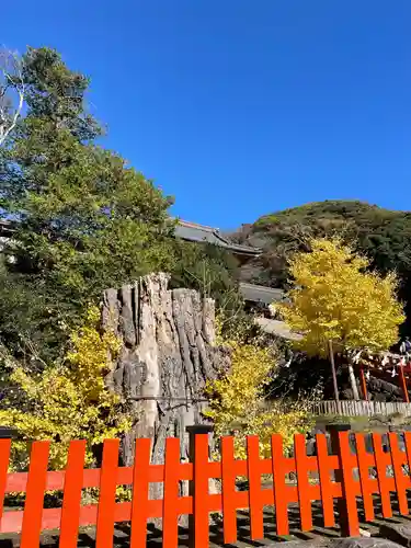 鶴岡八幡宮の自然