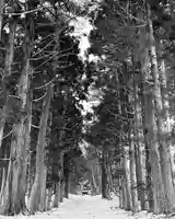 土津神社|こどもと出世の神さまの自然