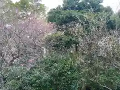 崋山神社(愛知県)