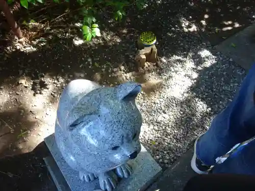 座間神社の狛犬
