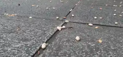 くまくま神社(導きの社 熊野町熊野神社)のお祭り