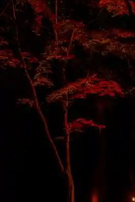 北野天満宮(京都府)