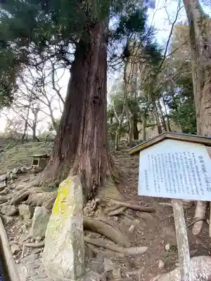 長谷寺(奈良県)