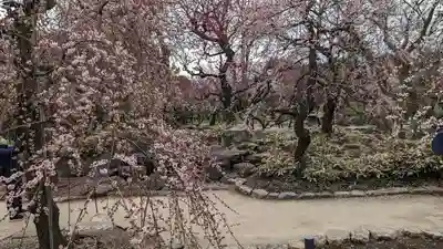 北野天満宮(京都府)