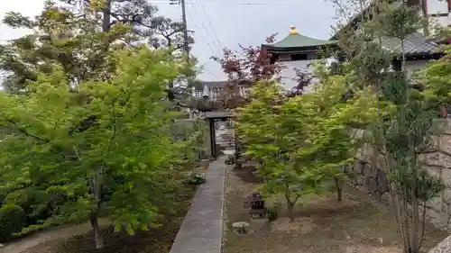 薬薗寺(京都府)