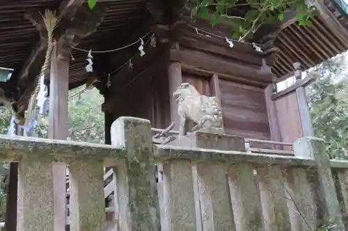 賀羅加波神社の狛犬