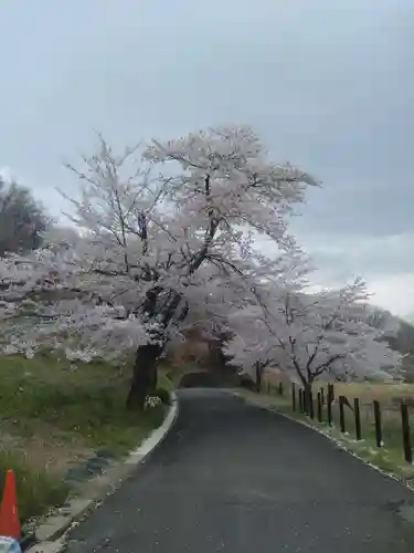 陽林寺(福島県)