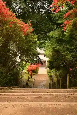 正福寺(茨城県)