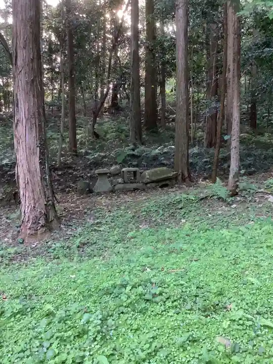 坂祝神社の自然