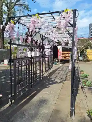 相模原氷川神社(神奈川県)
