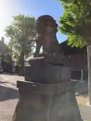 滝野川八幡神社の狛犬