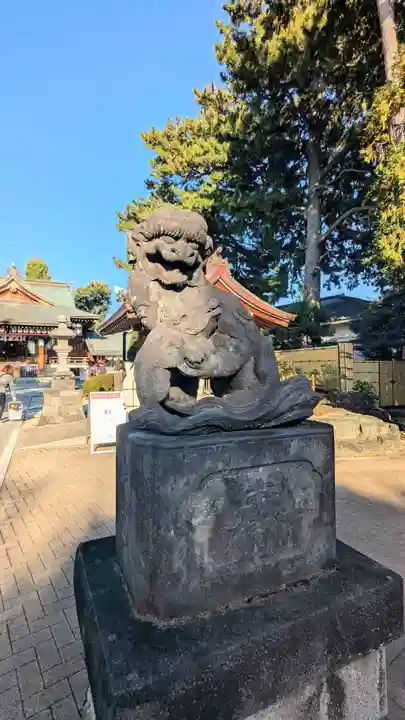 中野沼袋氷川神社の狛犬