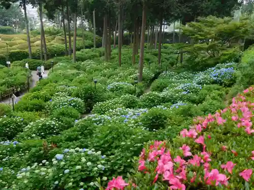 三室戸寺の庭園