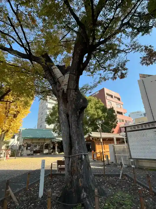 神明社(赤塚神明社)(愛知県)