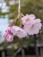 潮田神社(神奈川県)
