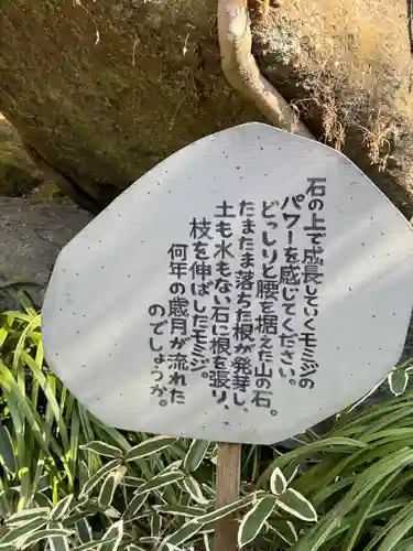 明月院(神奈川県)