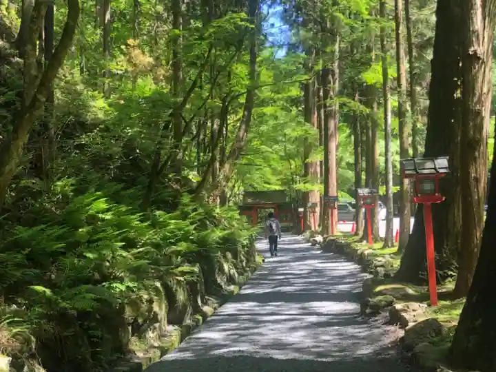 貴船神社(京都府)