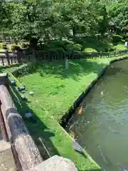 上杉神社の庭園