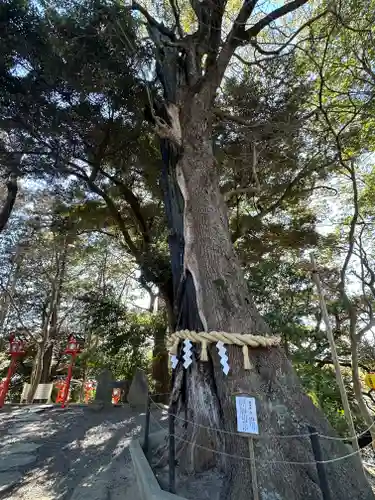 常陸國總社宮(茨城県)