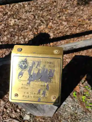 津江神社(福岡県)