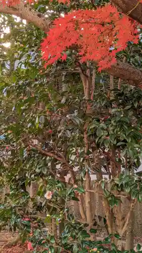 相国寺（相国承天禅寺）(京都府)