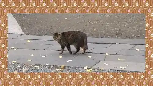 小野照崎神社(東京都)