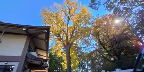 葛西神社の御朱印