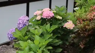 柳谷観音　楊谷寺(京都府)