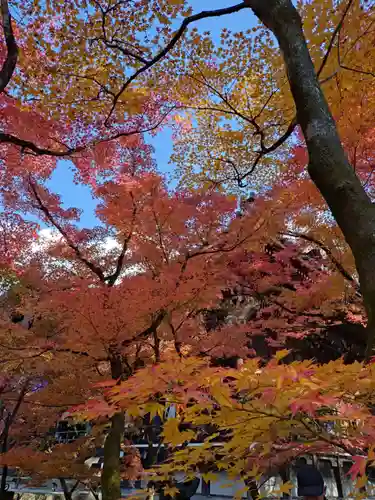 禅林寺（永観堂）(京都府)