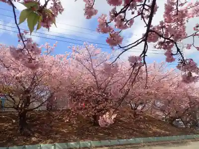 海南神社(神奈川県)