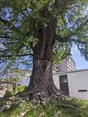 津島神社の周辺