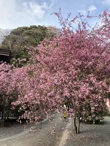 妙本寺(神奈川県)